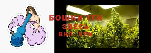 МДПВ Богородицк