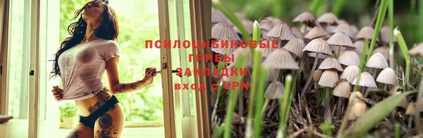 твердый Богородск